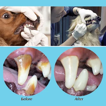 5шт Ветеринарный Домашний Набор для удаления зубного камня для собак, Инструменты для чистки зубного камня домашних животных, Портативная Двойная головка